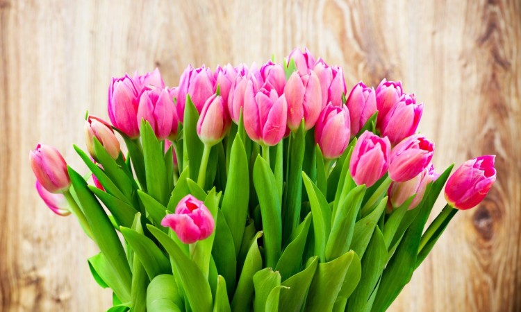 Жіноче Свято!