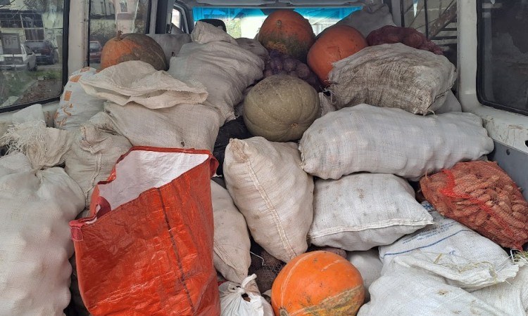 Картопля проїхала у Львів